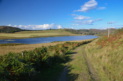 Walk photo