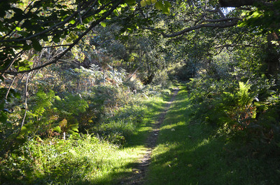 Walk photo