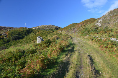 Walk photo