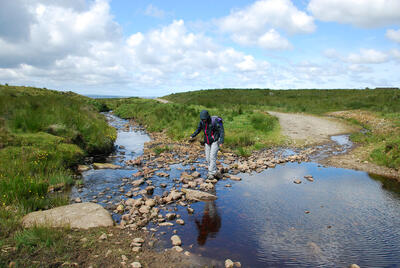 Walk photo