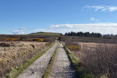 Walk photo