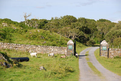 Walk photo