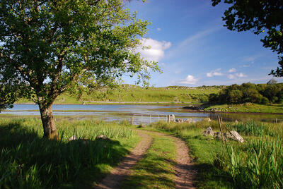 Walk photo