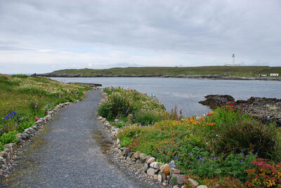 Walk photo