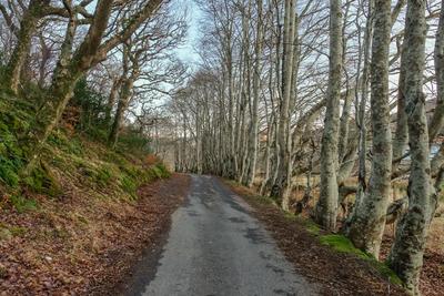 Walk photo
