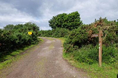 Walk photo
