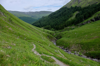 Walk photo
