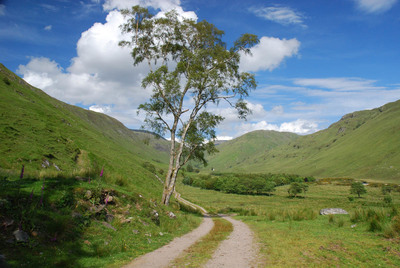 Walk photo