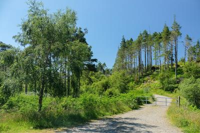 Walk photo
