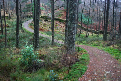 Walk photo