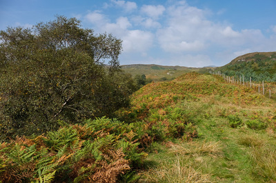 Walk photo