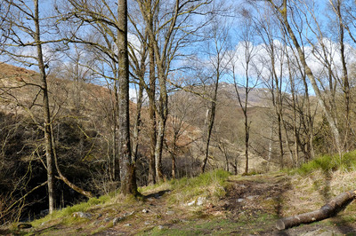 Walk photo