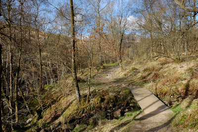 Walk photo