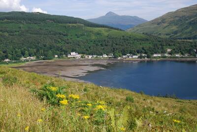 Succoth Circuit, Arrochar