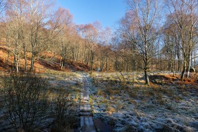 Walk photo