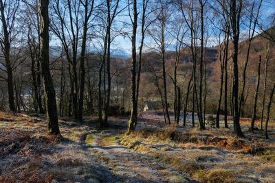 Walk photo