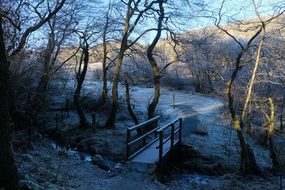 Walk photo