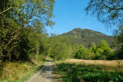 Walk photo