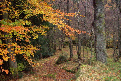 Walk photo