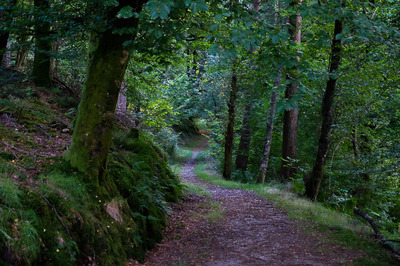 Walk photo