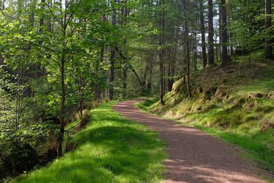 Walk photo