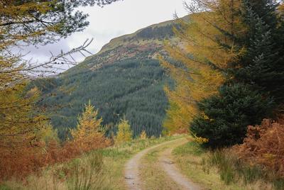 Walk photo