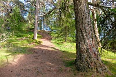 Walk photo
