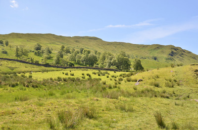 Walk photo