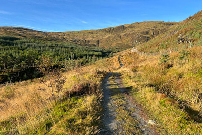 Walk photo