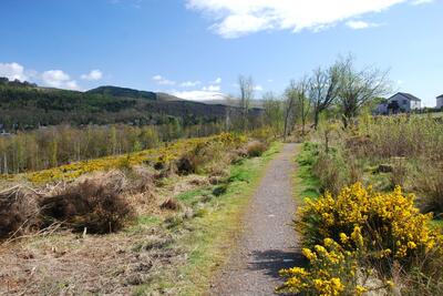 Walk photo