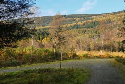 Walk photo