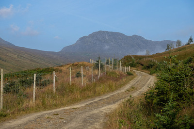 Walk photo