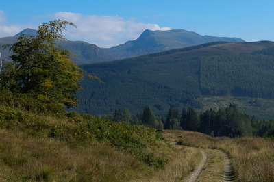 Walk photo