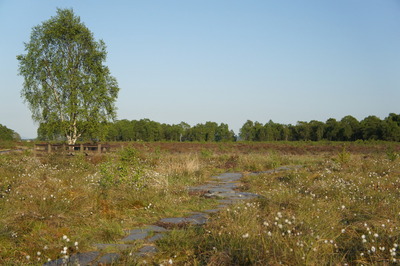 Walk photo