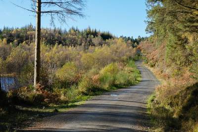 Walk photo