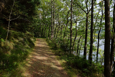 Walk photo