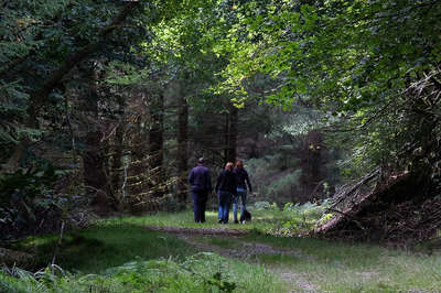 Walk photo