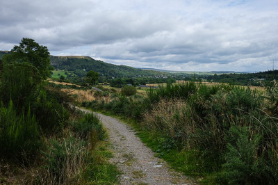 Walk photo