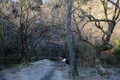 Walk photo
