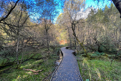 Walk photo