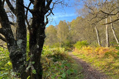 Walk photo
