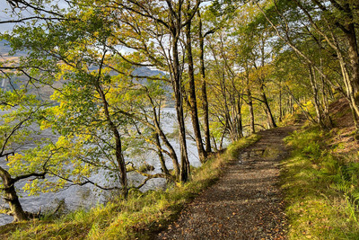 Walk photo