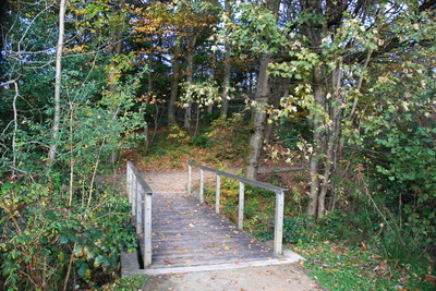 Walk photo