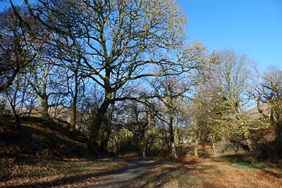 Walk photo