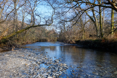 Walk photo