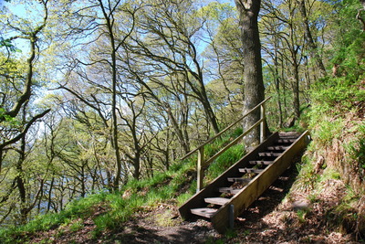 Walk photo