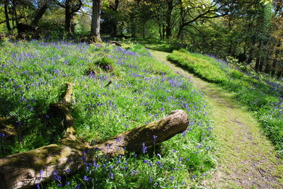 Walk photo