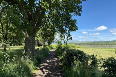 Walk photo