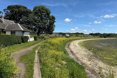 Walk photo