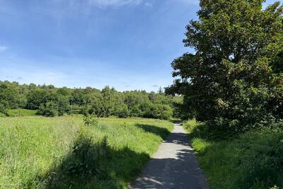 Walk photo